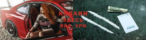 дживик Богданович