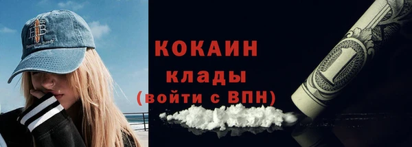 дживик Богданович