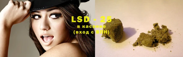 дживик Богданович