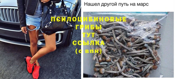 дживик Богданович
