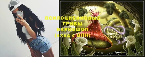 дживик Богданович