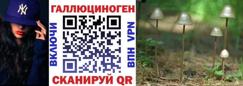 Купить  Очёр  Псилоцибиновые грибы мицелий 