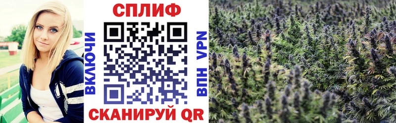 Конопля марихуана Очёр