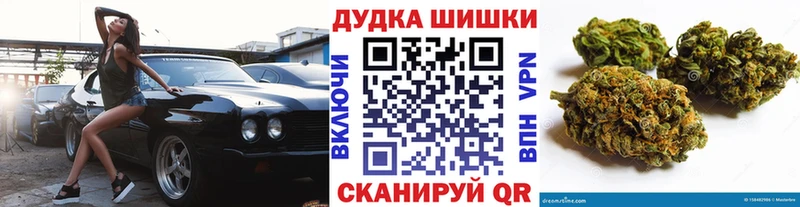 Конопля Bruce Banner  Купить где  Очёр 